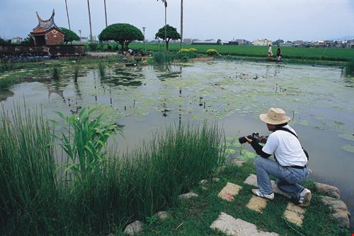 故郷にみずみずしい生態を 邱錦和さんの湿地への思い 台灣光華雜誌
